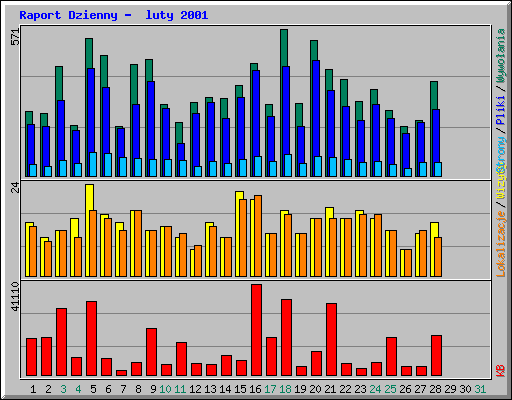 Raport Dzienny -  luty 2001