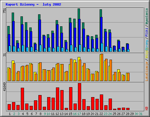 Raport Dzienny -  luty 2002