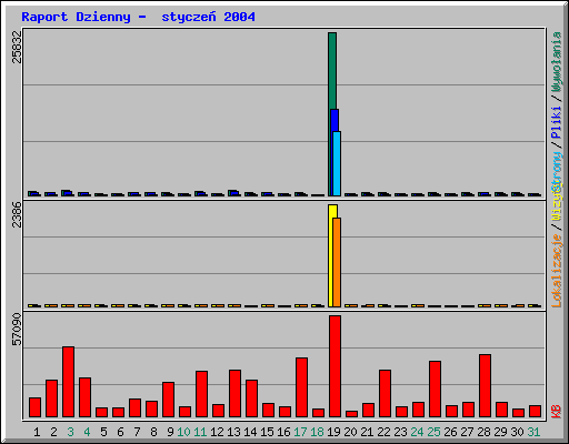 Raport Dzienny -  stycze 2004