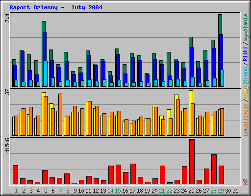 Raport Dzienny -  luty 2004