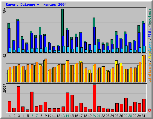 Raport Dzienny -  marzec 2004