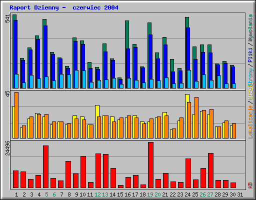 Raport Dzienny -  czerwiec 2004