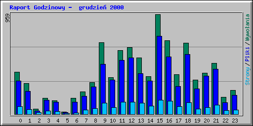 Raport Godzinowy -  grudzie 2000