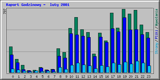 Raport Godzinowy -  luty 2001