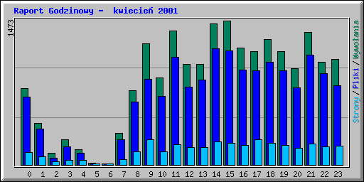 Raport Godzinowy -  kwiecie 2001