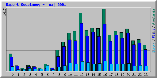 Raport Godzinowy -  maj 2001