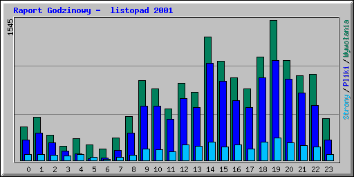 Raport Godzinowy -  listopad 2001