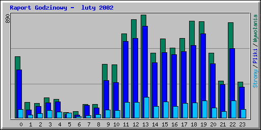 Raport Godzinowy -  luty 2002