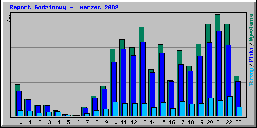 Raport Godzinowy -  marzec 2002