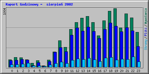 Raport Godzinowy -  sierpie 2002