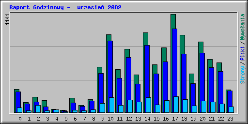 Raport Godzinowy -  wrzesie 2002