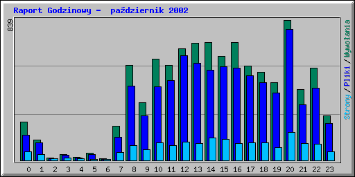 Raport Godzinowy -  padziernik 2002