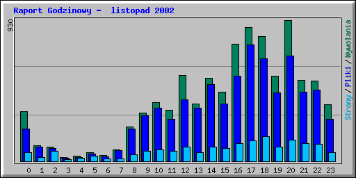 Raport Godzinowy -  listopad 2002