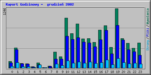 Raport Godzinowy -  grudzie 2002