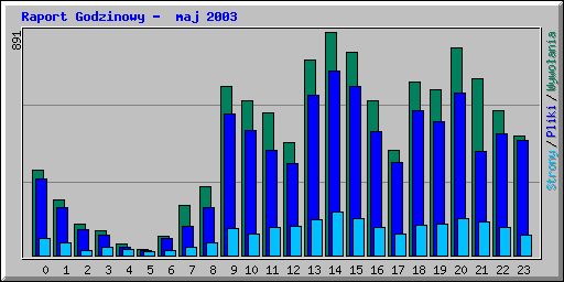 Raport Godzinowy -  maj 2003