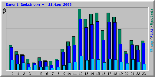 Raport Godzinowy -  lipiec 2003