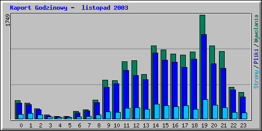 Raport Godzinowy -  listopad 2003