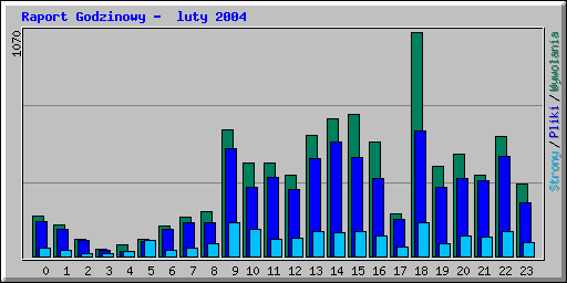 Raport Godzinowy -  luty 2004