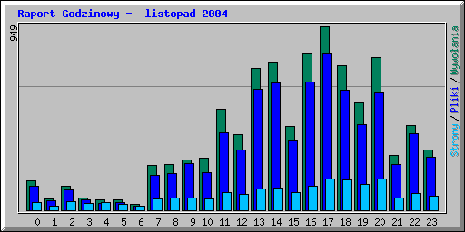 Raport Godzinowy -  listopad 2004