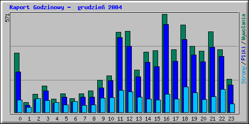 Raport Godzinowy -  grudzie 2004