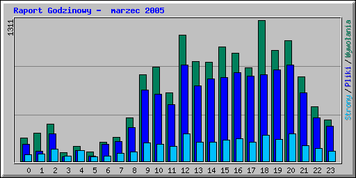 Raport Godzinowy -  marzec 2005